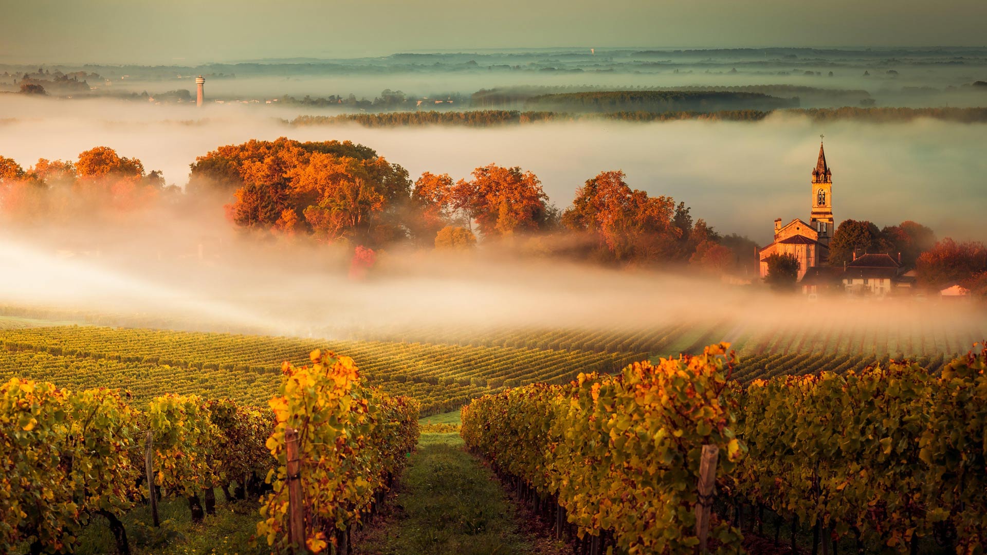 Autumn Bordeaux