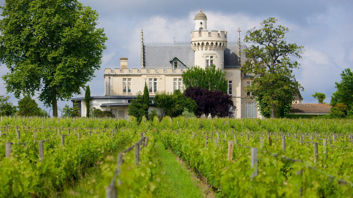 64 Tasting: Bordeaux Wine Tasting with Valentin Pascaud of Chateau Pape Clement